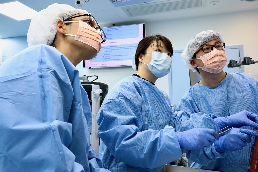 HK Wrist Course 2024 - Workshops  - 166 of 241